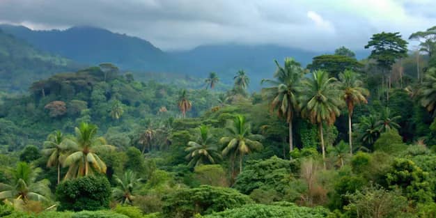 Equatorial Guinea — where this visa takes you