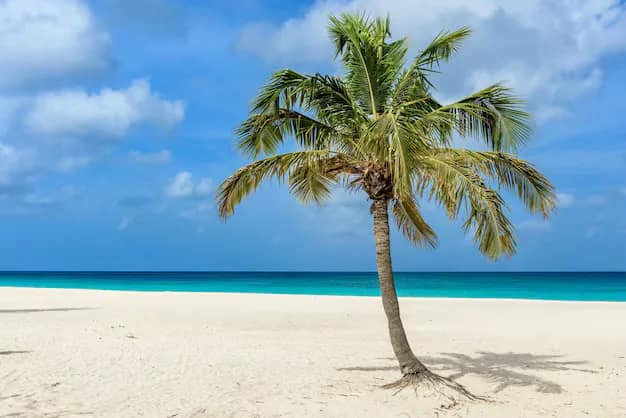 Aruba Travel Guide for Indian Travellers: Beaches, Arikok and the Visa Reality
