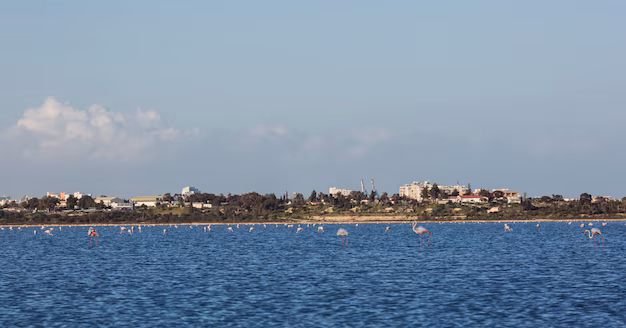 Cyprus — where this visa takes you
