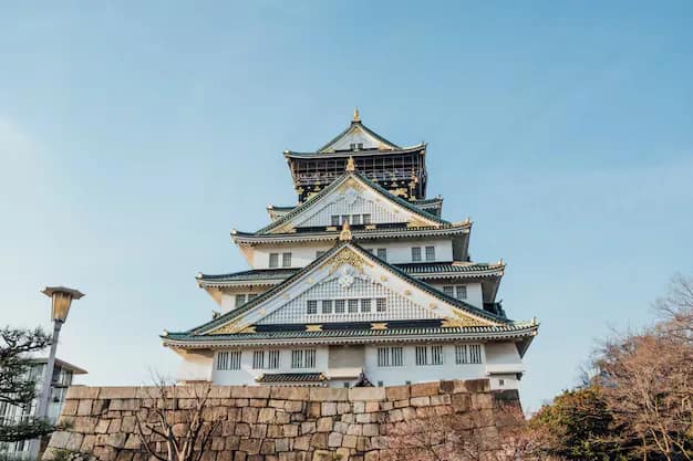 Osaka Travel Guide from India: Castle, Dotonbori Food & USJ Trips