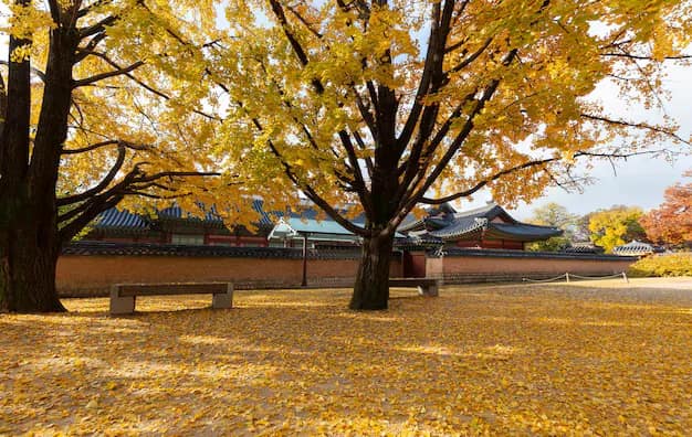 Seoul's Five Grand Palaces: A Considered Guide for Indian Travellers