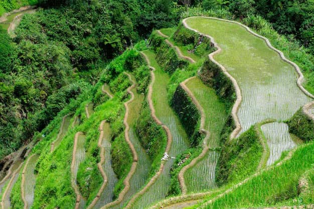 Banaue and Batad Rice Terraces: An Honest Guide for Indian Travellers