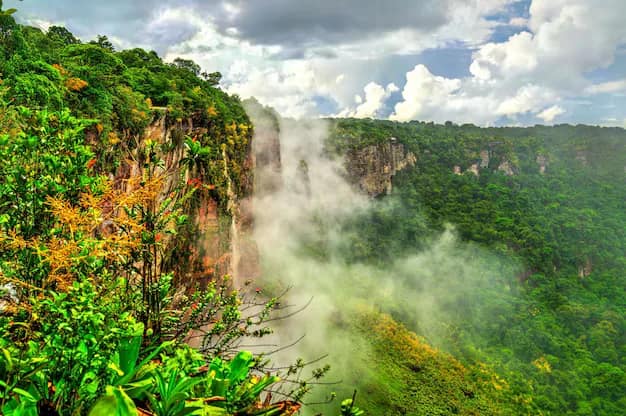 Guyana — where this visa takes you
