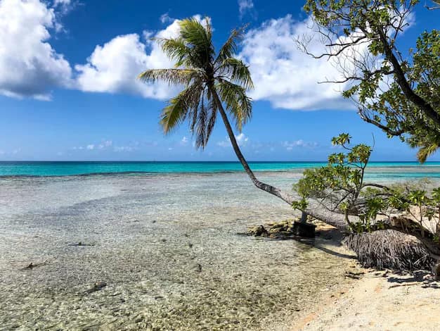Rangiroa Travel Guide from India: Atolls, Drift Dives and the Other Side of French Polynesia