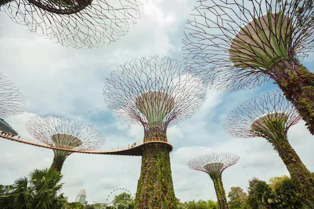 Singapore visa for Indians: how it works and why you need an agent