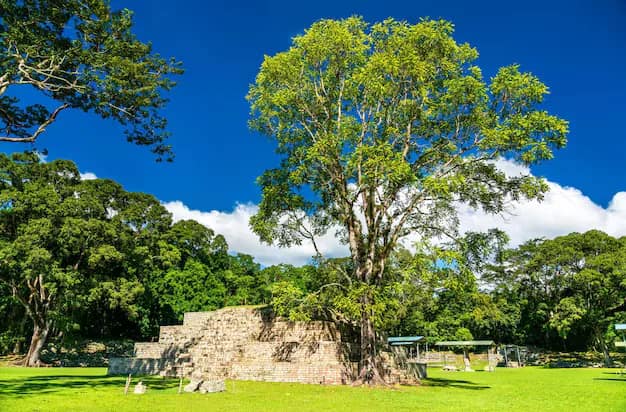Honduras — where this visa takes you