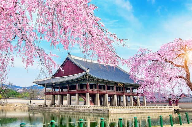 Seoul · Nami Island · Jeju, South Korea