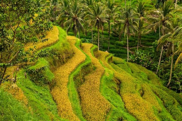 Bali · Ubud · Nusa Penida, Indonesia