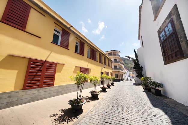 Tenerife Travel Guide from India: Mount Teide, Garachico and the Canary Islands