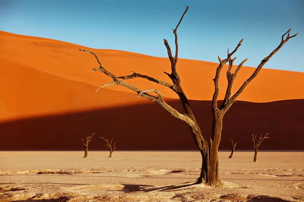 Windhoek · Sossusvlei · Etosha, Namibia
