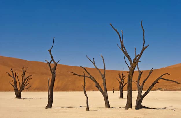 Namibia Travel Guide for Indian Travellers: Sossusvlei's Red Dunes, Deadvlei and Etosha