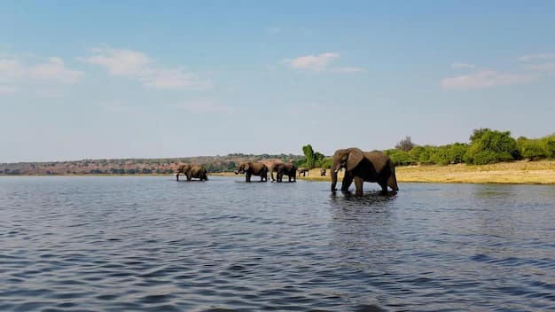 Maun · Okavango Delta · Chobe, Botswana