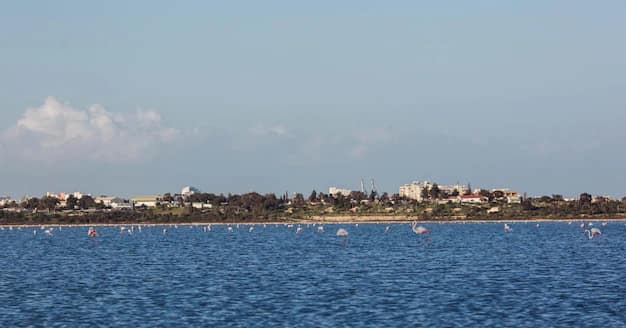 Larnaca · Limassol · Paphos, Cyprus