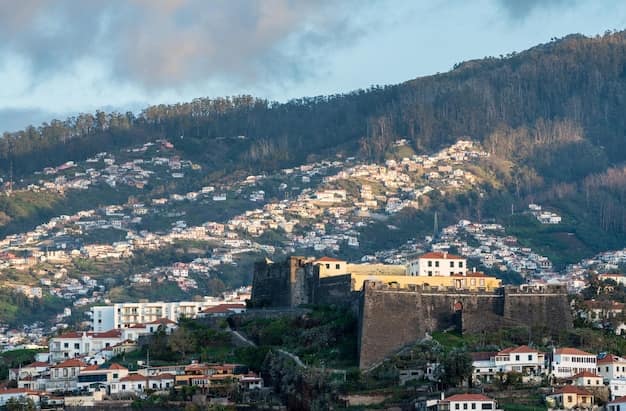 Madeira Travel Guide From India: Levadas, Funchal & Island Tips