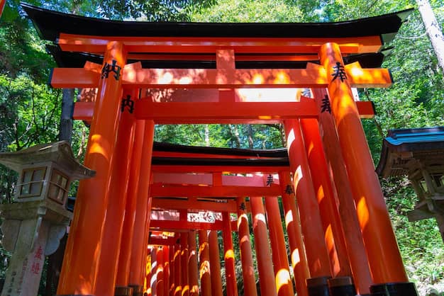 Japan in 7 Days for Indian Travellers: A Tokyo, Mt Fuji, Kyoto, Osaka and Nara Itinerary