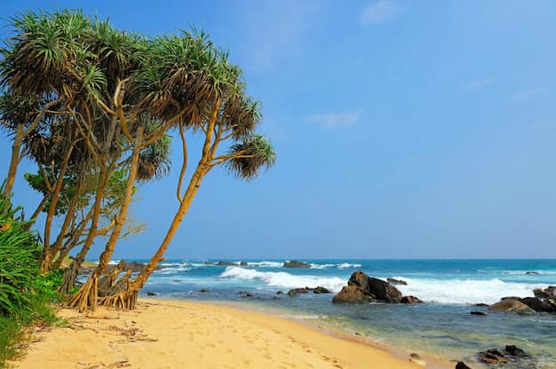 Sri Lanka ETA for Indians: the simplest visa in this guide