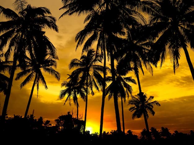 International Honeymoon Under ₹2 Lakh Per Couple: Where the Math Actually Works