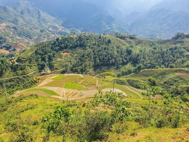 Vietnam travel guide from India: the trending budget destination