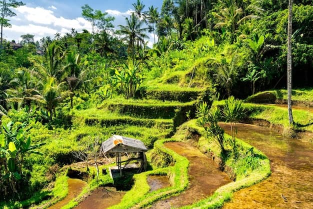 Bali in 7 Days: A Complete Itinerary for Indian Travellers