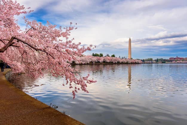 Washington DC Travel Guide for Indian Travellers from Surat & Gujarat